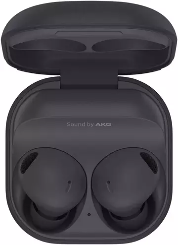 0063826 galaxy buds 2 pro 18